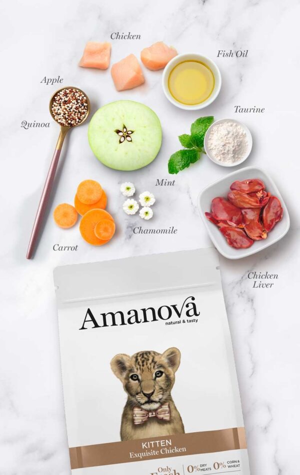 Amanova Kitten exquisite Chicken Zaragoza Saco Ingredientes