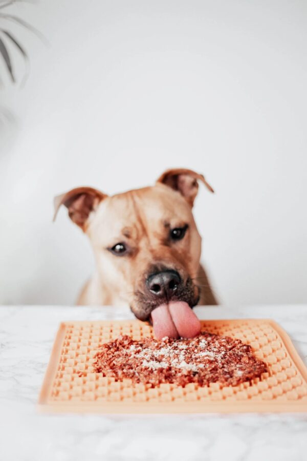 Topper Hígado de Ternera Mr Bones Zaragoza Alimentación Natural perro lickimat idea de presentación