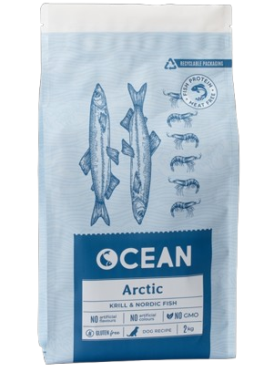 Ocean Artic