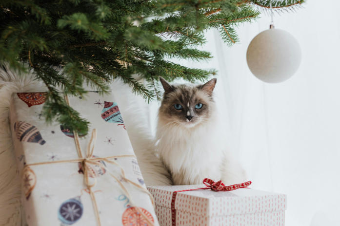 Gato debajo del árbol con regalos navideños