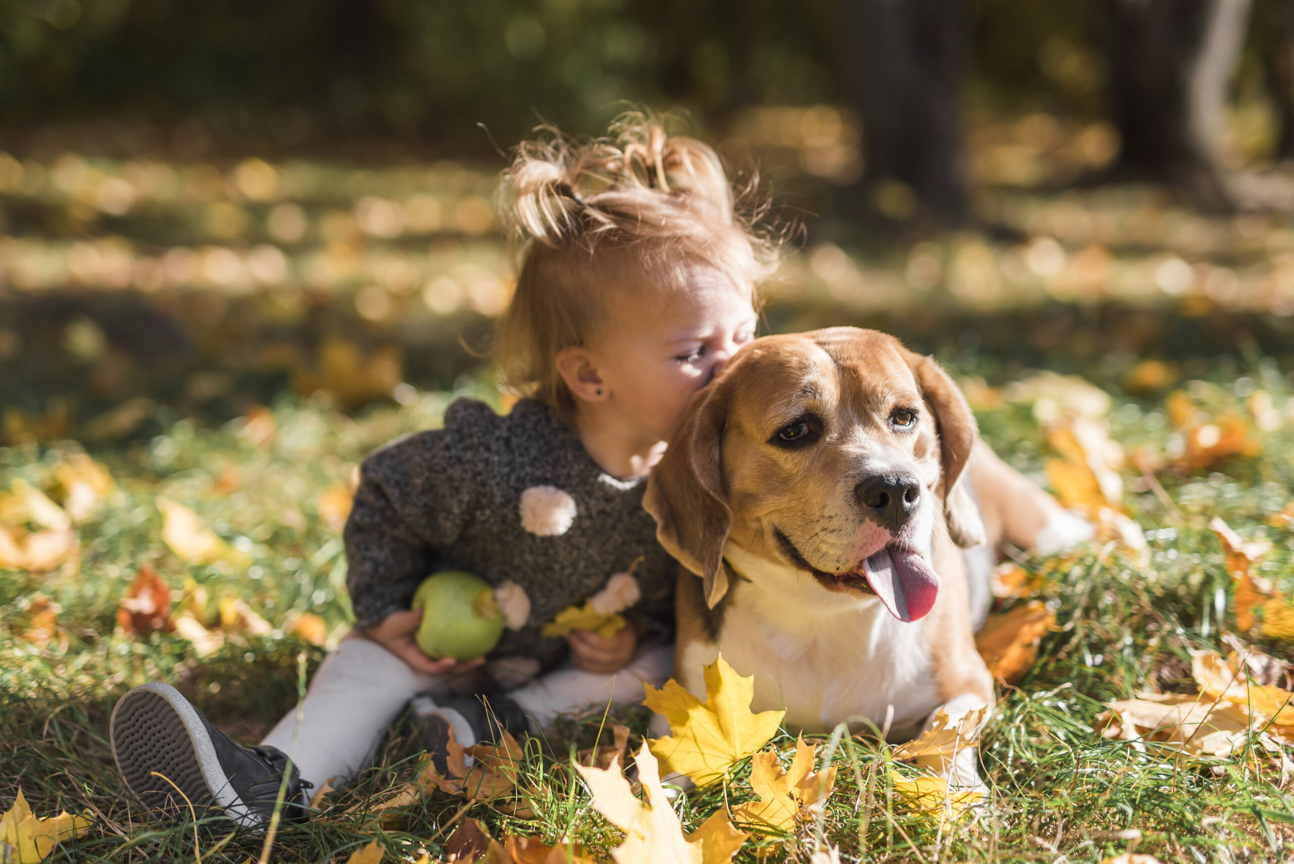 Niña besando a perro libre de parásitos en el campo
