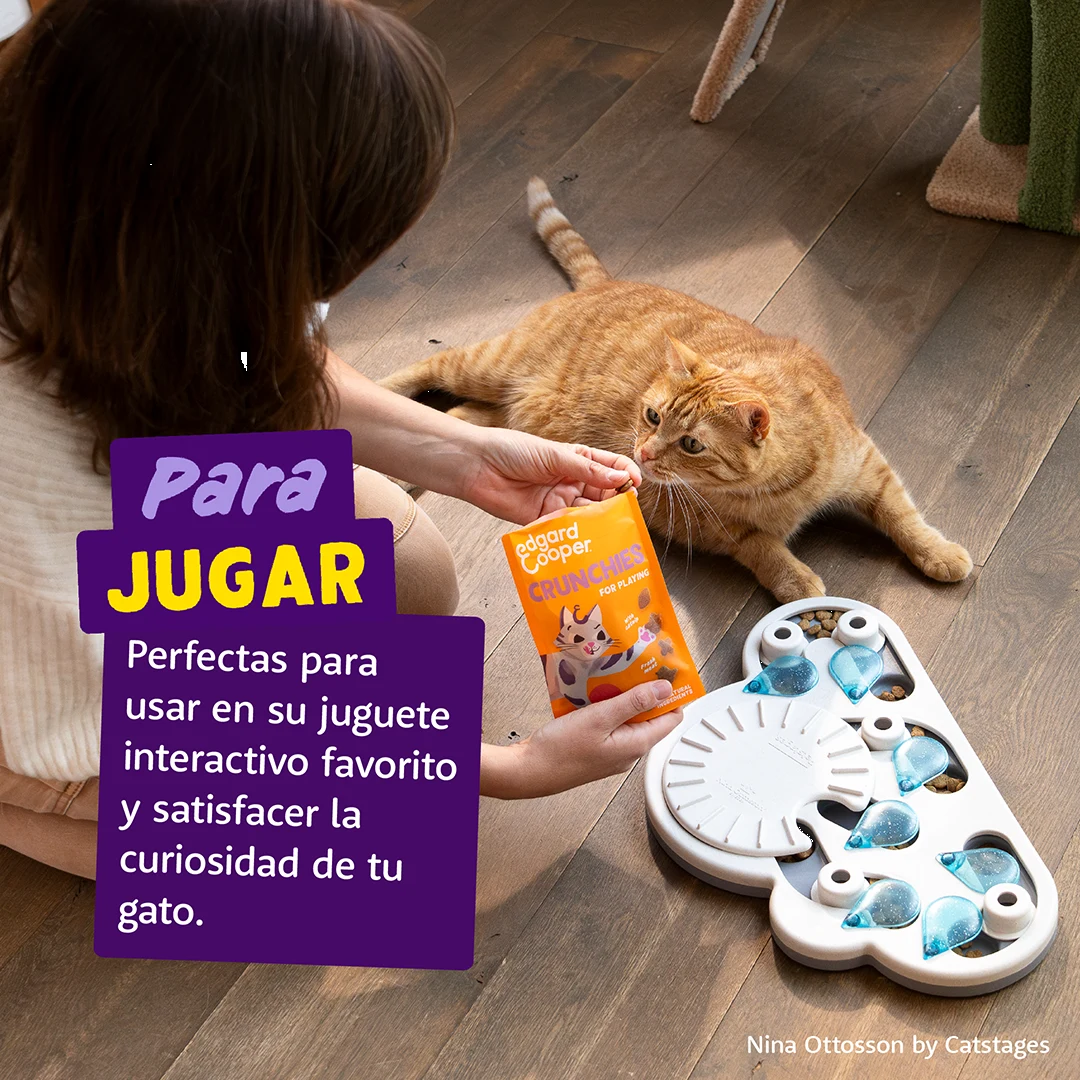 edgard cooper crunchies premio para jugar gatos mascotas bastet