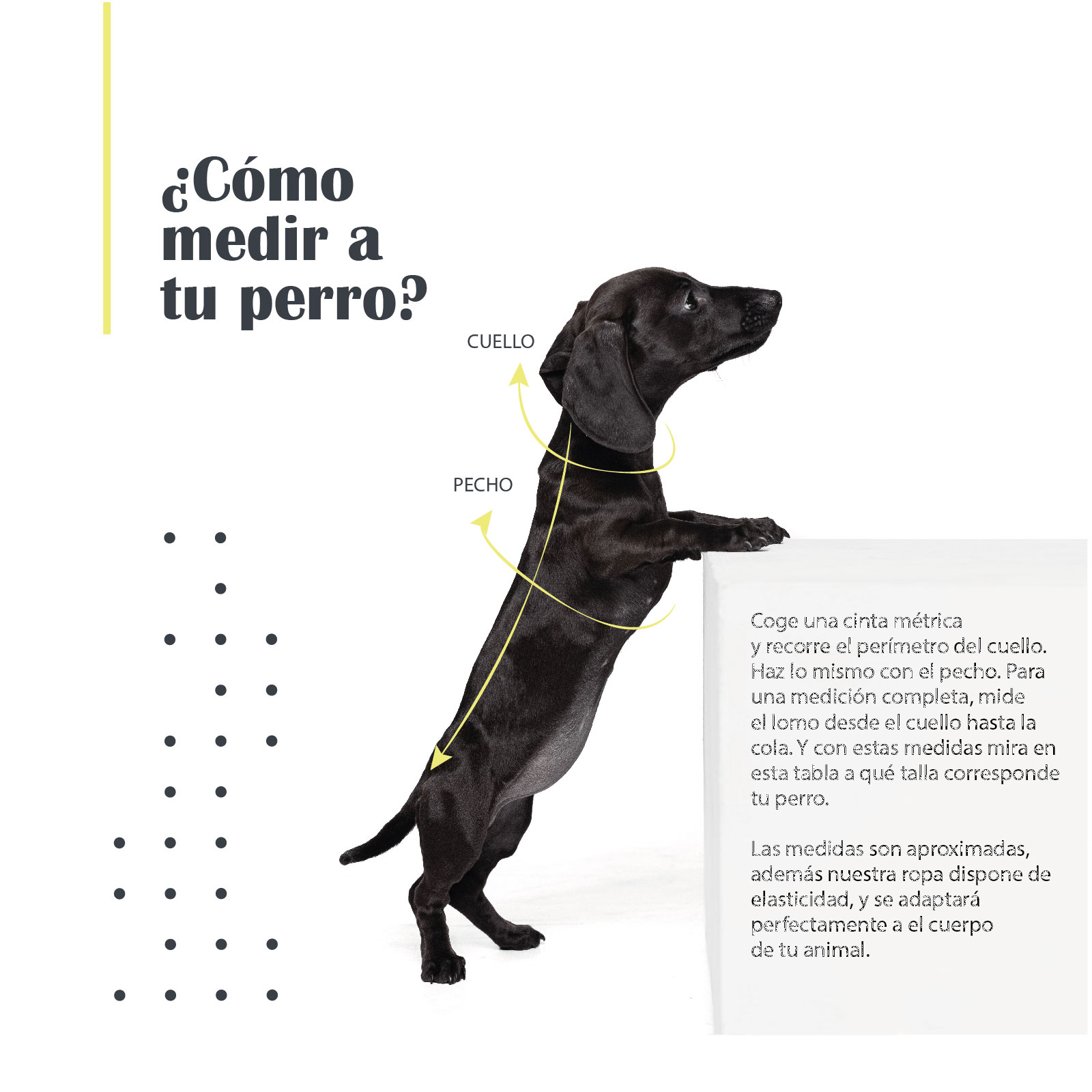 Mi&Dog Jersey Bear - Imagen 2