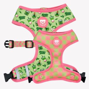 Dukier Arnés Reversible So Matcha