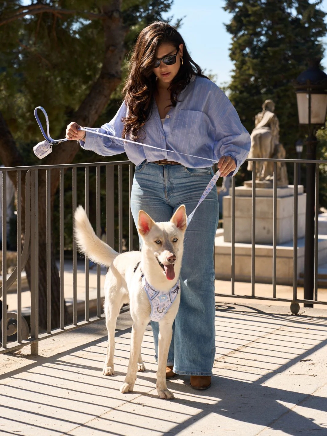 Dukier Correa para Perro Bloom - Imagen 3