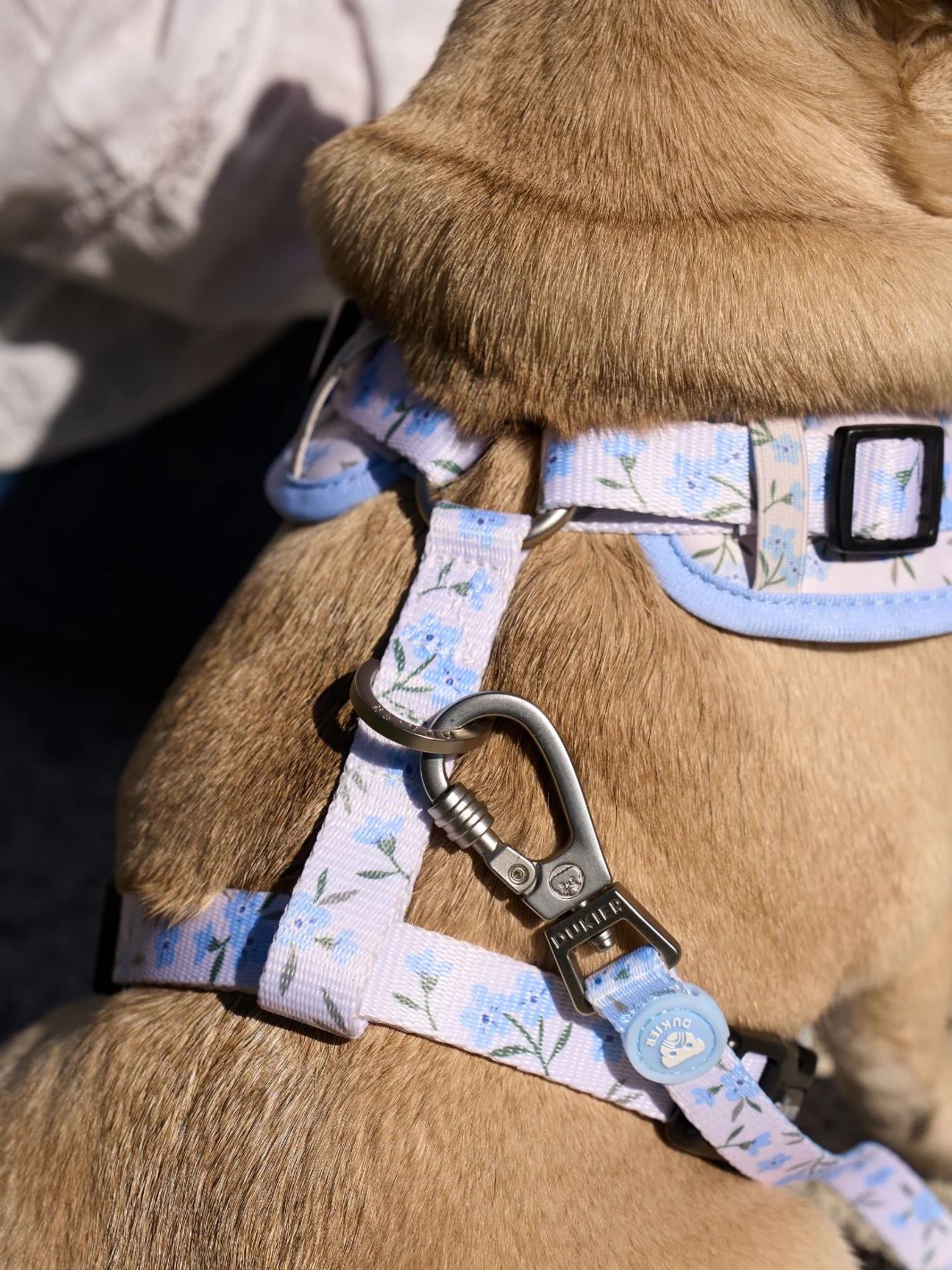 Dukier Correa para Perro Bloom - Imagen 2