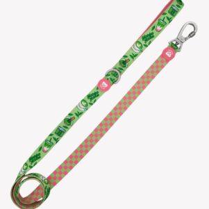 Dukier Correa para Perro So Matcha