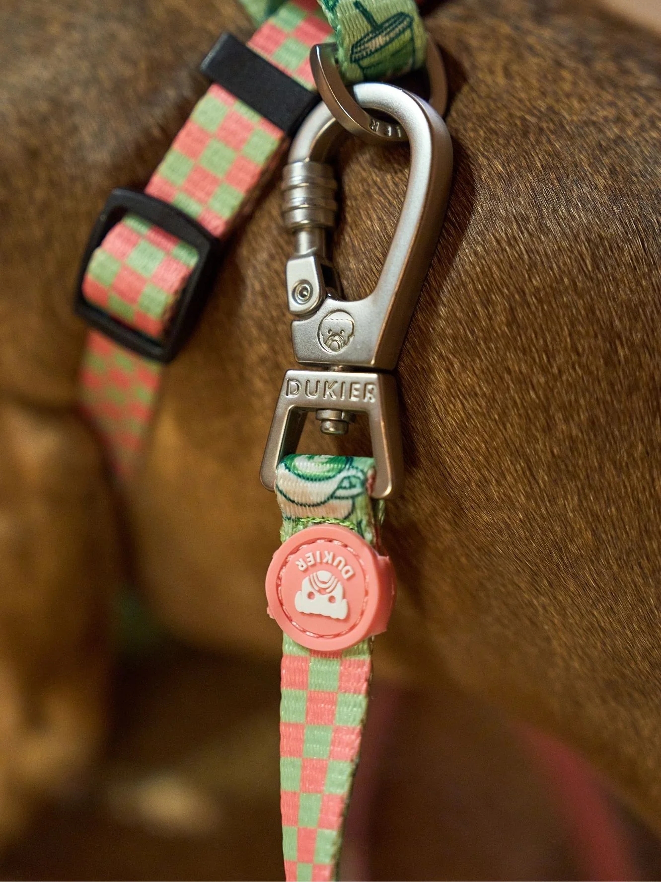 Dukier Correa para Perro So Matcha - Imagen 2