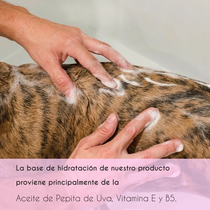 Petuxe Acondicionador Perros Agua - Imagen 2