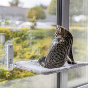 Trixie Plataforma de Ventana