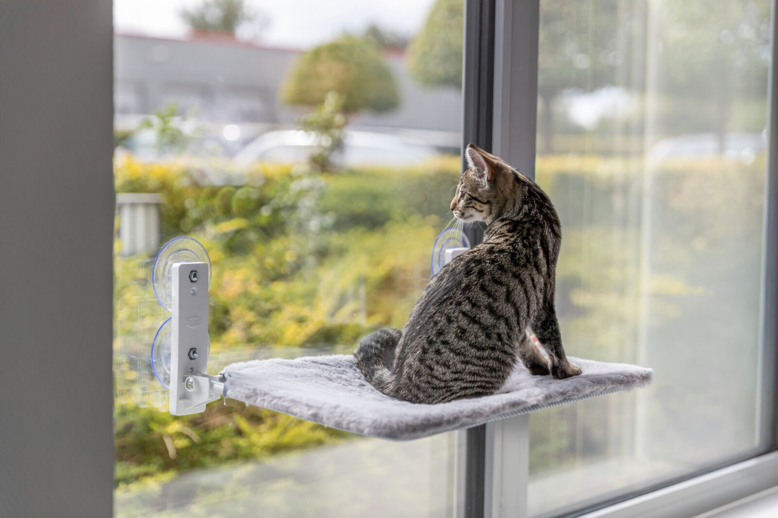 Trixie Plataforma de Ventana