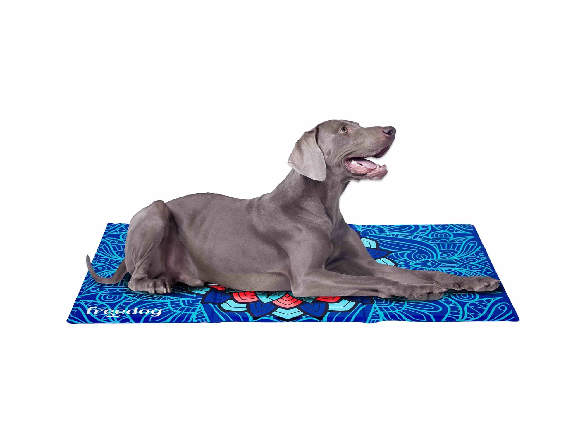 Cool Bed Mandala Azul - Imagen 3