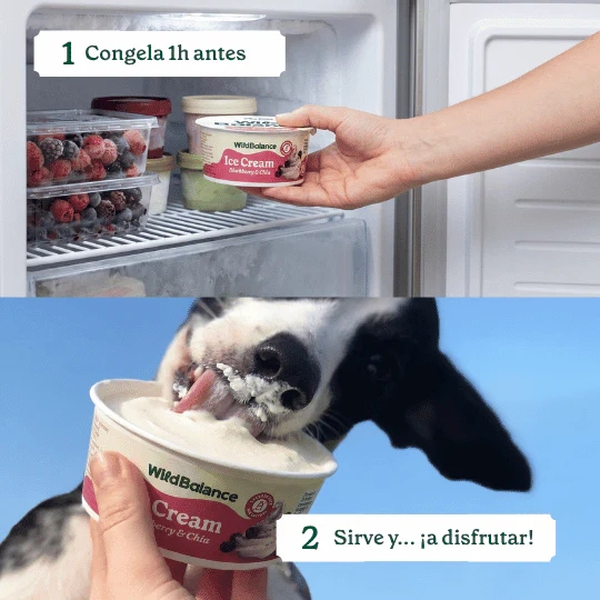WB Yogur Helado Mora - Imagen 2