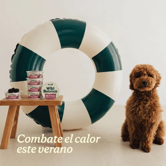 WB Yogur Helado Mora - Imagen 3