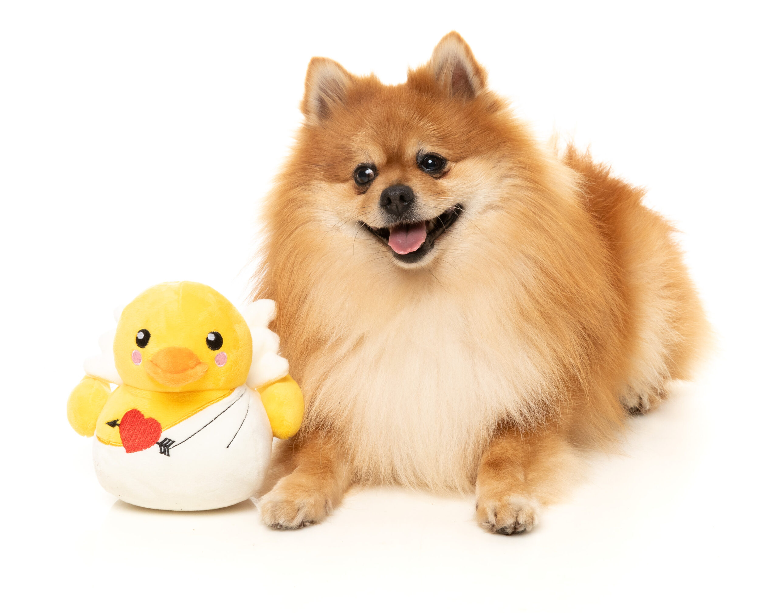 FuzzYard Cupid Duck - Imagen 2