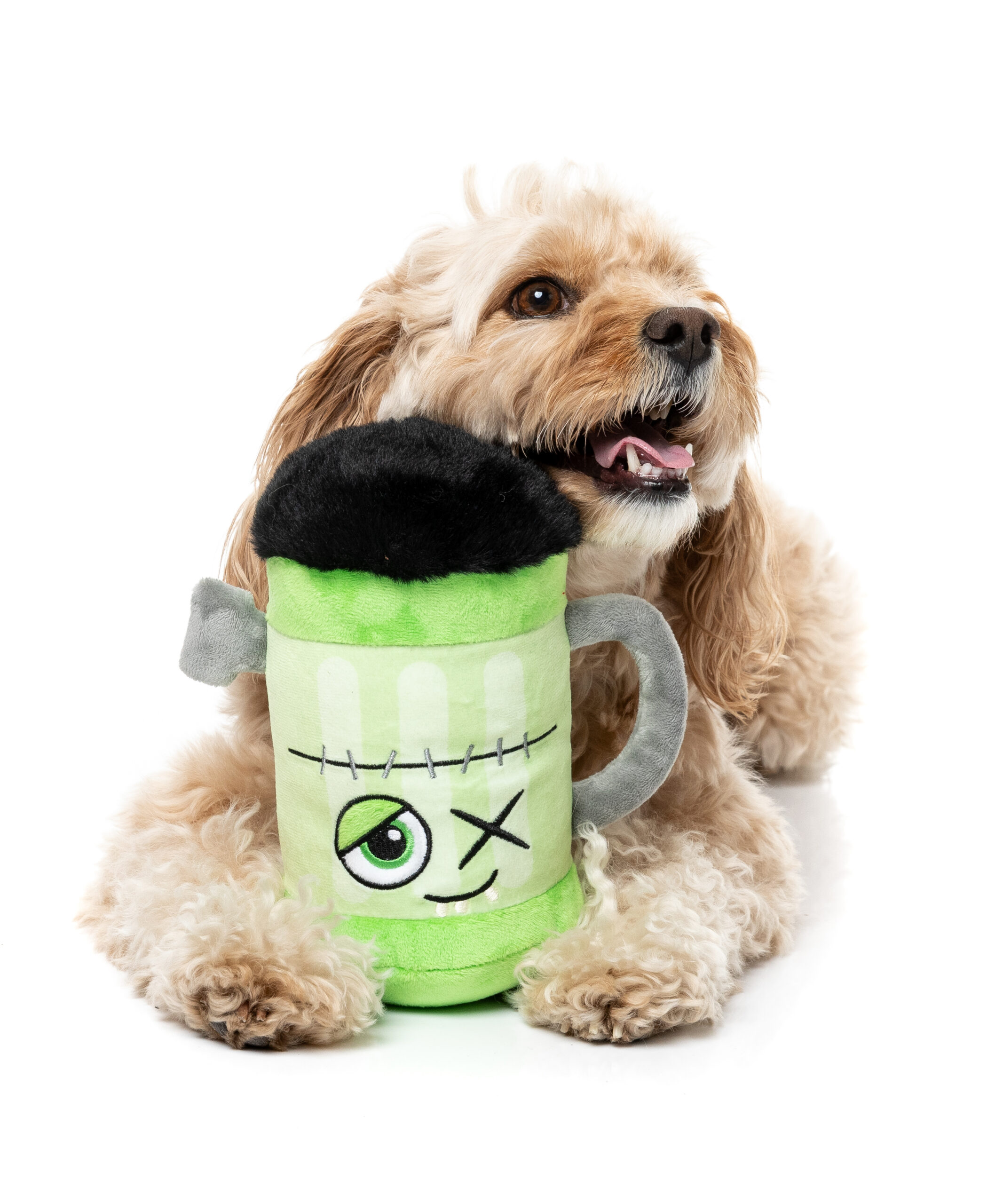FuzzYard Franken-Stein Beer - Imagen 2