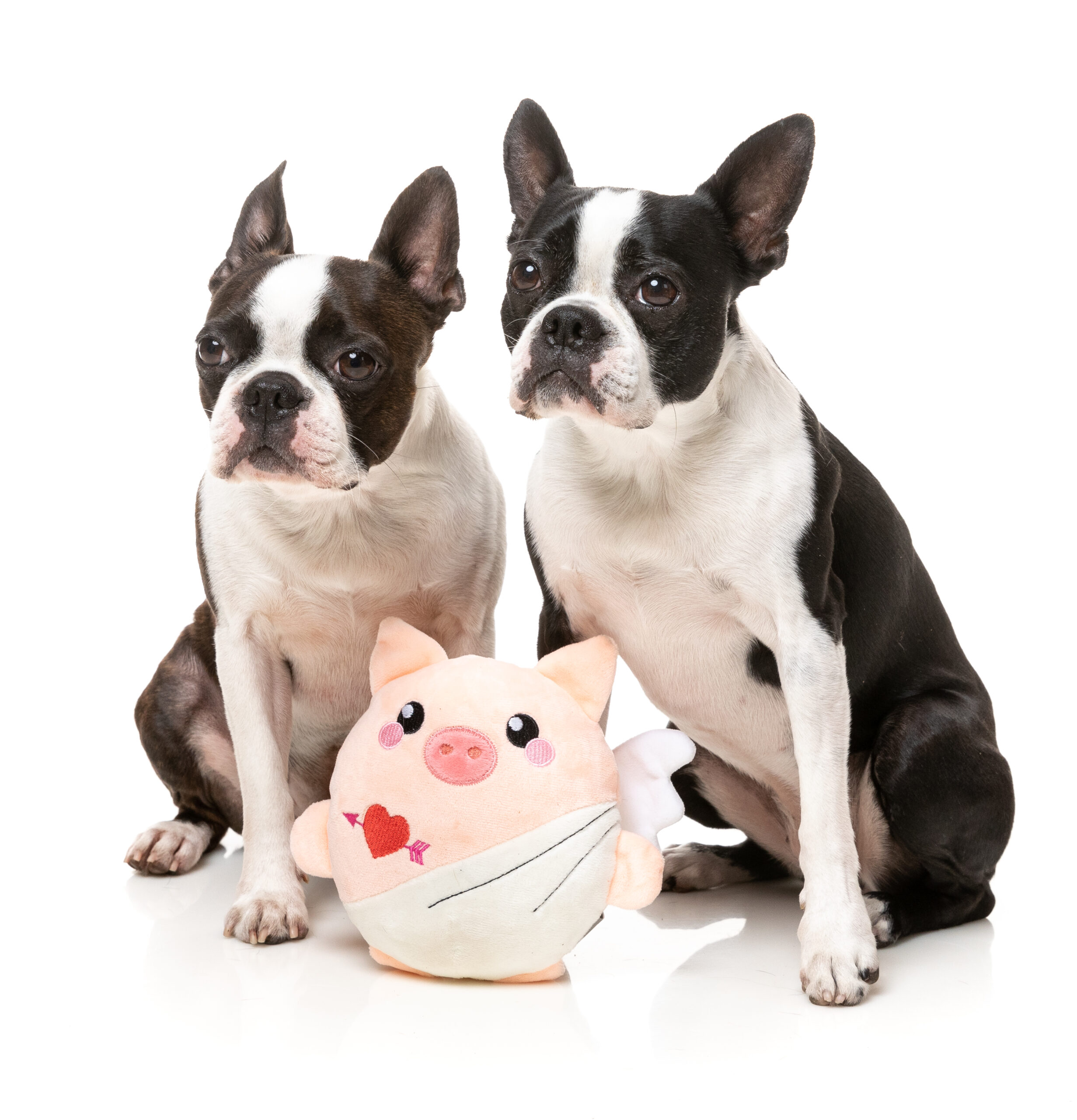 FuzzYard Cu-Pig - Imagen 2